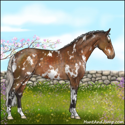 Horse Color:White Spotted Silver Buckskin 
