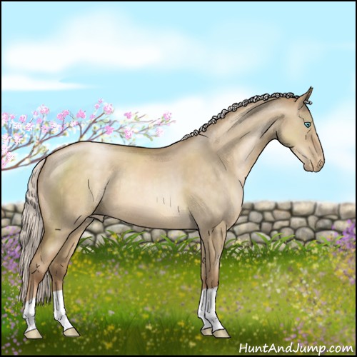 Horse Color:Silver Smoky Grullo Pearl 