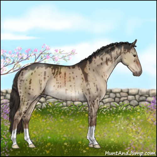 Horse Color:Liver Red Dun Brindle 