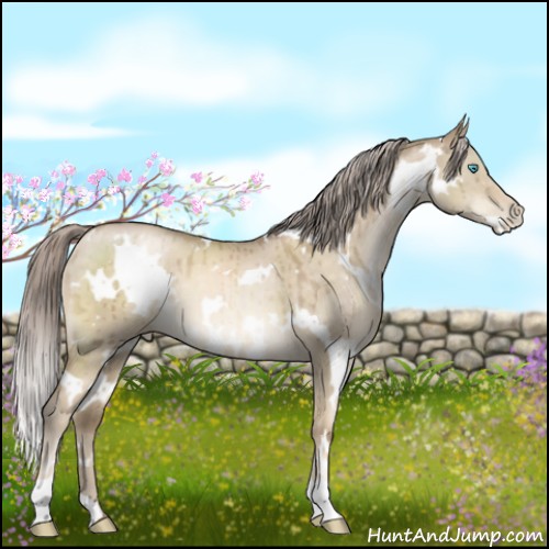 Horse Color:White Spotted Chocolate Palomino Pearl Dun Brindle 