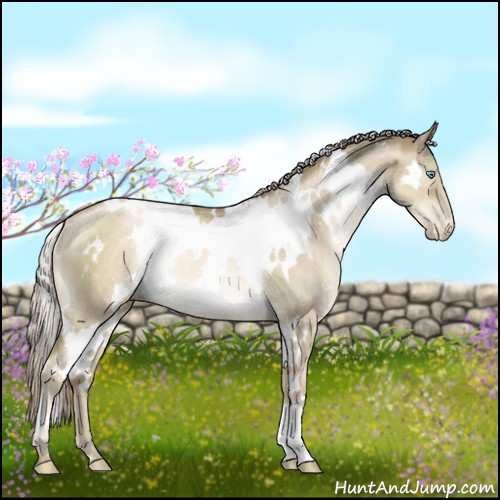 Horse Color:White Spotted Chocolate Palomino Pearl Dun Rabicano 