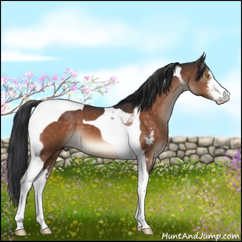 Horse Color:Brown Mushroom Sabino Tobiano 