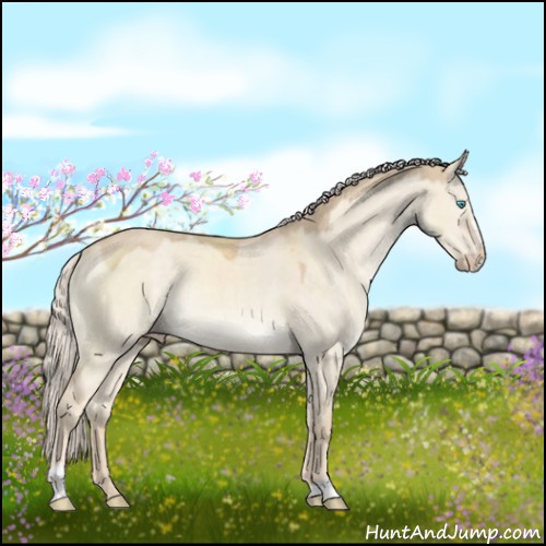 Horse Color:Cremello Dun Sabino Rabicano 