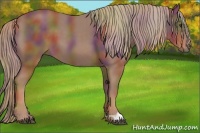 Horse Color:Nacre Chestnut 