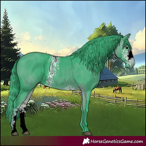 Horse Color:ERROR: UNKNOWN ANOMALY