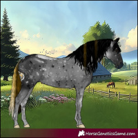 Horse Color:ERROR: UNKNOWN ANOMALY
