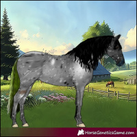 Horse Color:ERROR: UNKNOWN ANOMALY