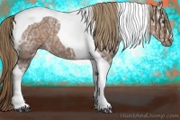 Horse Color:Liver Chestnut Ice Tobiano