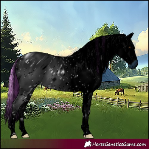 Horse Color:ERROR: UNKNOWN ANOMALY
