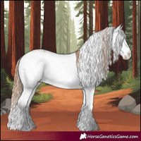 Horse Color:White Spotted Red Dun Splash 