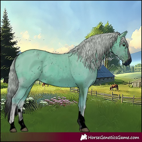 Horse Color:ERROR: UNKNOWN ANOMALY