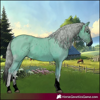 Horse Color:ERROR: UNKNOWN ANOMALY