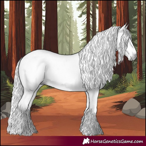 Horse Color:Gray White Spotted Silver Bay Splash Rabicano 