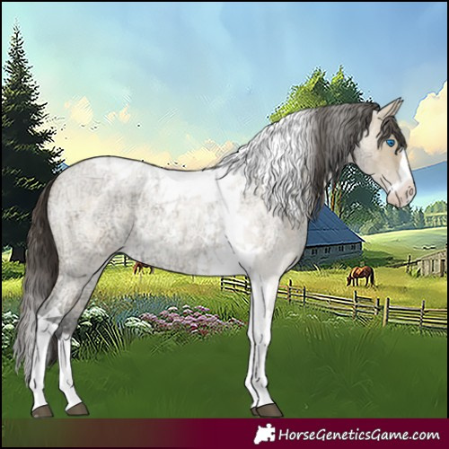 Horse Color:Buckskin Ice Roan Dun Splash Tobiano 