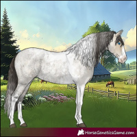 Horse Color:Buckskin Ice Roan Dun Splash Tobiano 