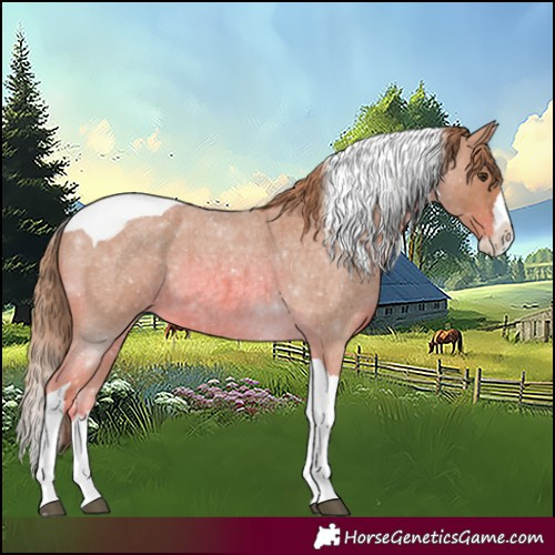 Horse Color:Watercolor Red Roan Splash Tobiano