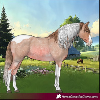 Horse Color:Watercolor Red Roan Splash Tobiano 