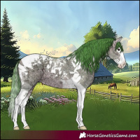 Horse Color:Watercolor Bay Ice Dun Splash Tobiano