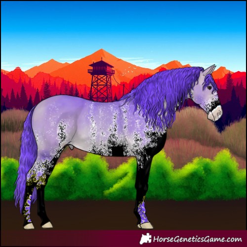 Horse Color:Watercolor White Spotted Buckskin 