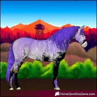 Horse Color:Watercolor White Spotted Buckskin 