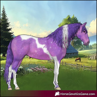 Horse Color:Watercolor Bay Tobiano