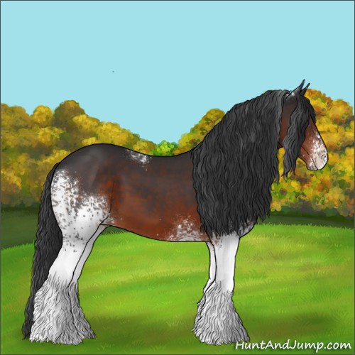 Horse Color:White Spotted Brown 