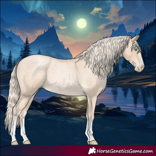 Horse Color:Palomino Roan Pearl Sabino