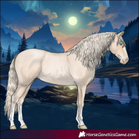 Horse Color:Palomino Roan Pearl Sabino 