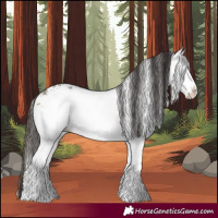 Horse Color:White Spotted Buckskin Splash 