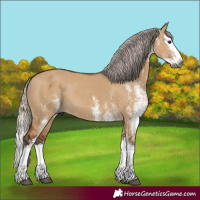 Horse Color:Gray White Spotted Silver Bay Dun Splash Rabicano