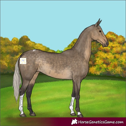 Horse Color:Silver Smoky Grullo Tobiano