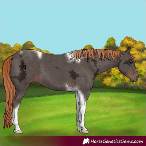 Horse Color:Liver Chestnut Ice Tobiano