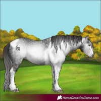Horse Color:Gray Liver Chestnut Ice Tobiano 