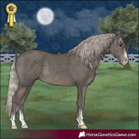 Horse Color:Silver Black Sabino 