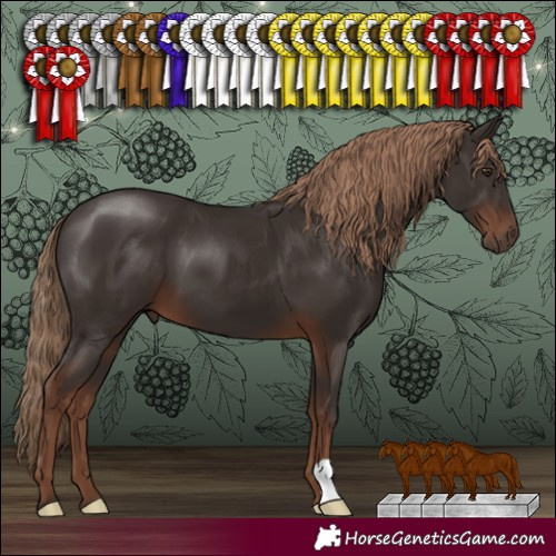Horse Color:Liver Chestnut 