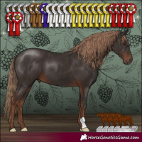 Horse Color:Liver Chestnut 