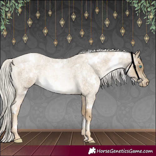 Horse Color:White Spotted Silver Buckskin Roan Pearl 
