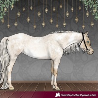 Horse Color:White Spotted Silver Buckskin Roan Pearl 
