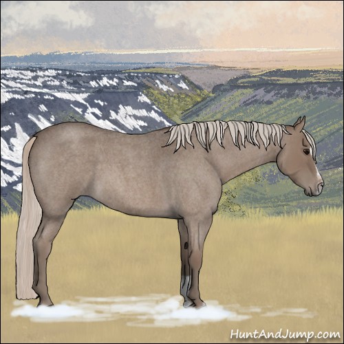 Horse Color:Silver Blue Roan Sabino 