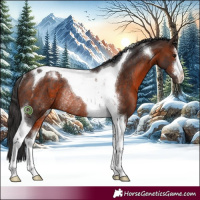 Horse Color:White Spotted Brown Tobiano Rabicano