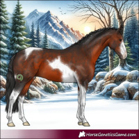 Horse Color:White Spotted Brown Tobiano 