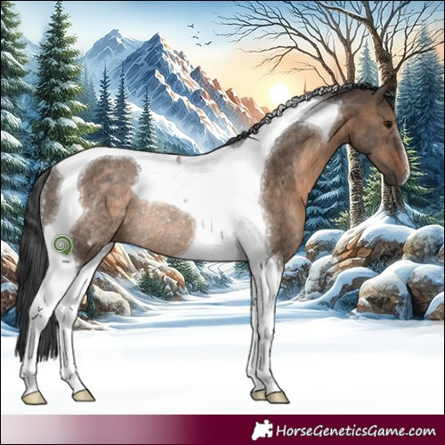 Horse Color:Brown Dun Tobiano Rabicano 