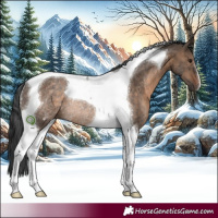 Horse Color:Brown Dun Tobiano Rabicano