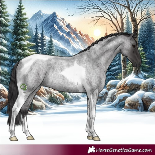 Horse Color:Smoky Blue Roan Tobiano Rabicano