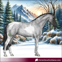 Horse Color:Smoky Blue Roan Tobiano Rabicano