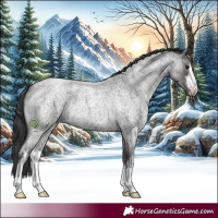 Horse Color:White Spotted Blue Roan 
