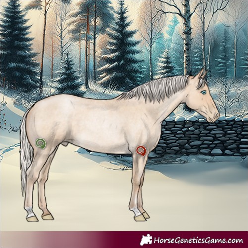 Horse Color:Silver Smoky Blue Roan Pearl Rabicano 