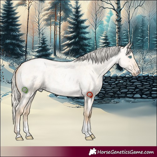 Horse Color:Silver Smoky Grullo Roan Pearl Sabino 