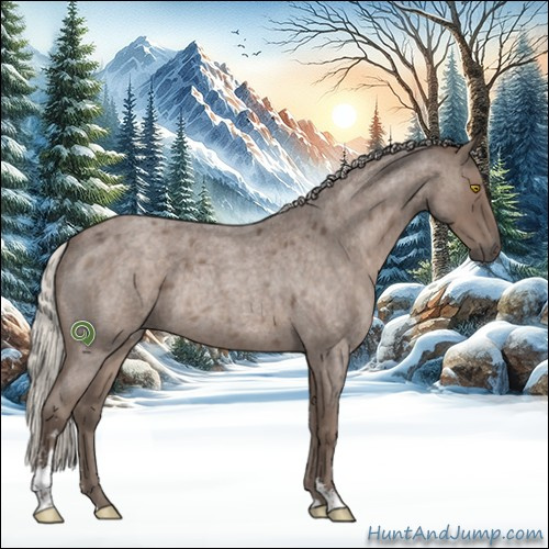 Horse Color:Silver Blue Roan Sabino Rabicano