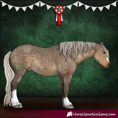Horse Color:Silver Smoky Grullo 